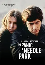 پوستر The Panic in Needle Park