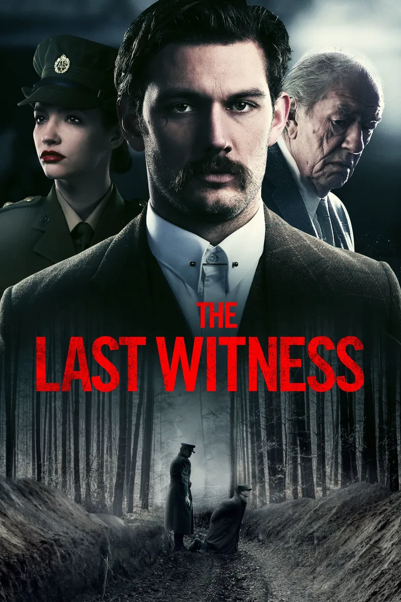 پوستر The Last Witness
آخرین شاهد