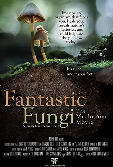 پوستر Fantastic Fungi
قارچ های فوق العاده