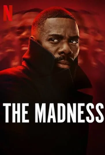 پوستر The Madness
جنون