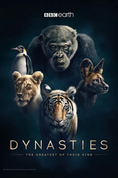 پوستر سلسله ها Dynasties