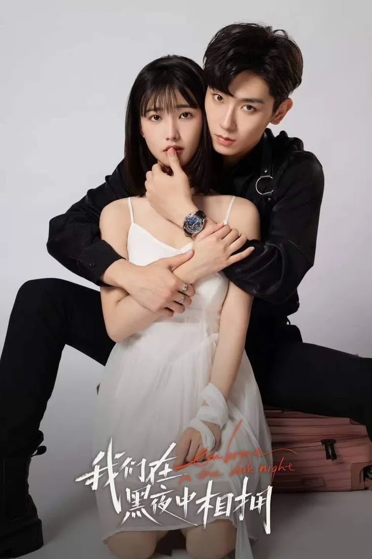 پوستر Embrace in the Dark Night
آغوشی در شب تار