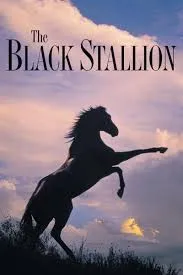 پوستر The Black Stallion
اسب سیاه