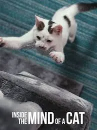 پوستر Inside the Mind of a Cat
درون ذهن یک گربه