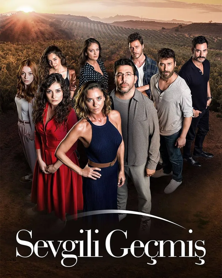 پوستر Sevgili Geçmis
گذشته ی عزیز