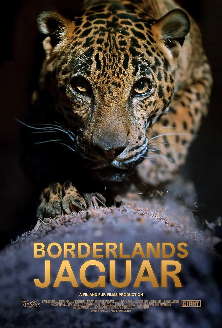 پوستر Borderlands Jaguar