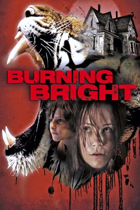 پوستر آتش درخشان Burning Bright