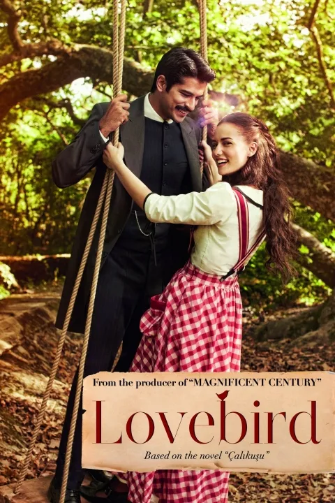 پوستر چکاوک Çalikusu