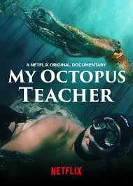 پوستر My Octopus Teacher
معلم اختاپوس من